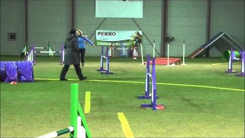 Bay Seminar Lisa&Tereza