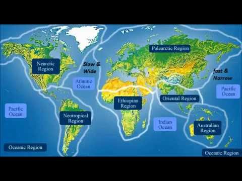 pix Major Ocean Currents Of The World Map major ocean currents