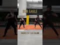 Funny Martial Kung Fu Ben Eagle Part 480 #BenEagle #MartialArts #Kungfu #MartialArtsLife #trending