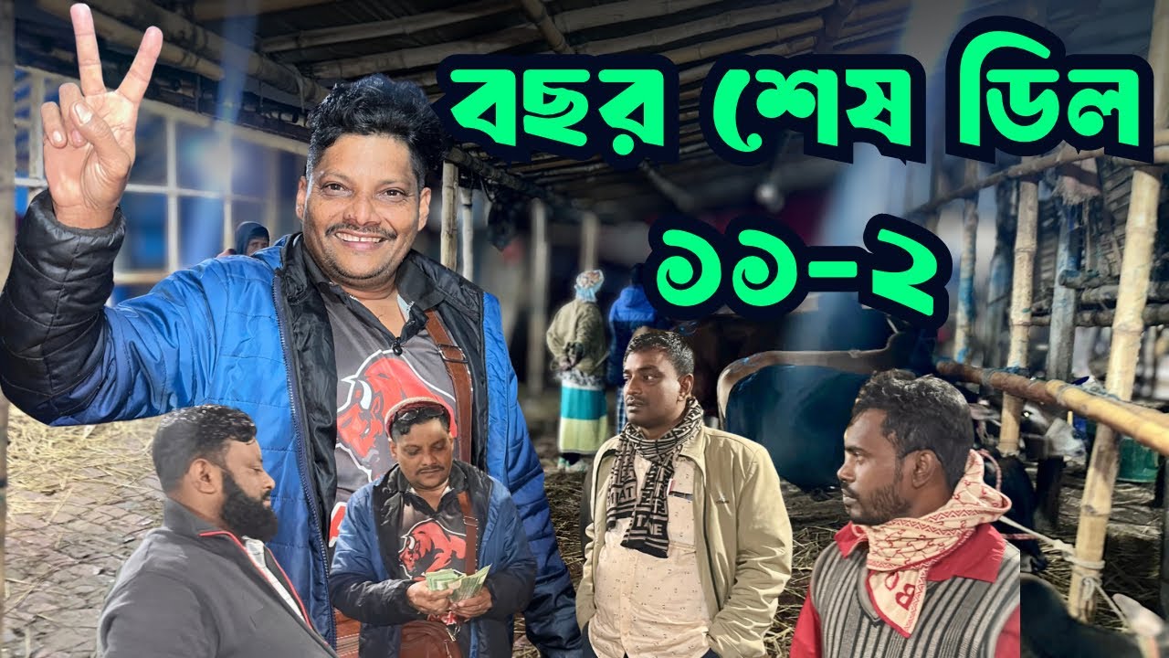 বছর শেষের রেকর্ড! গাবতলী হাটে ১১টি দেশাল ষাঁড় নিলেন আকরাম ভাই | ১ লাখ ৫৫ হাজারের দানব গরু