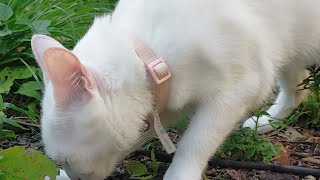 I don't know what title to give it.