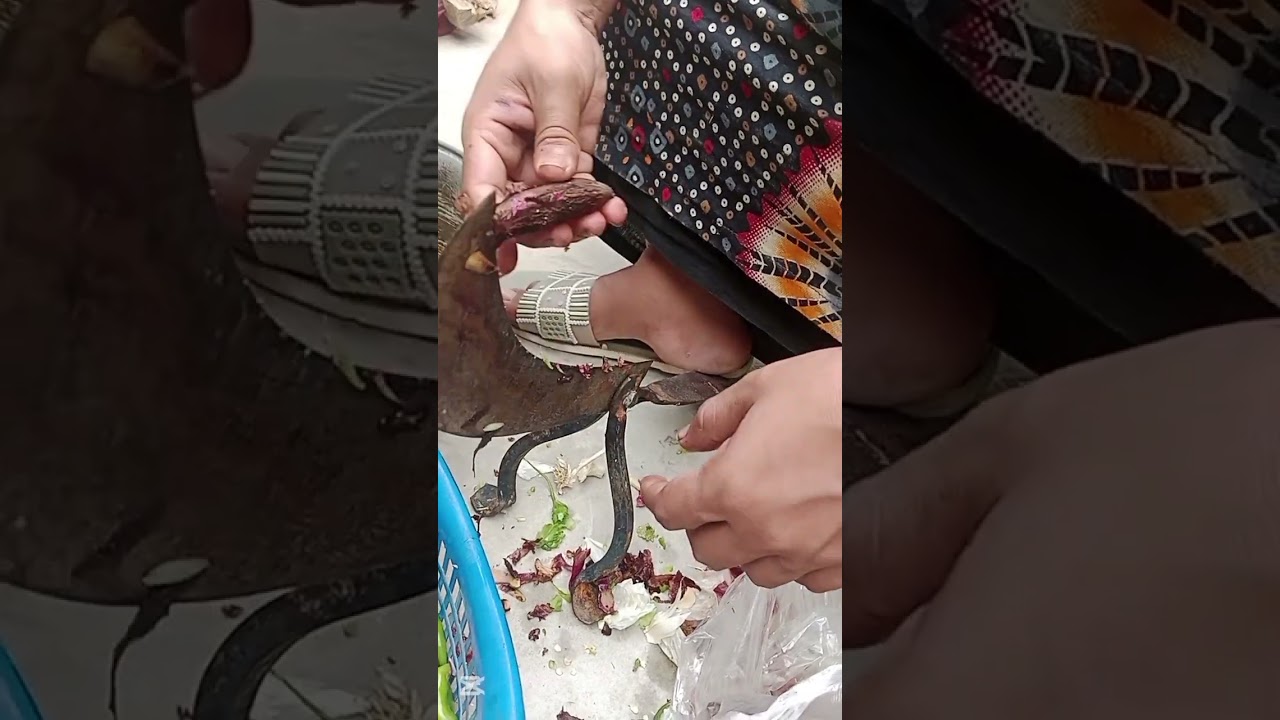 আমার রাজকন্যা  আমার সাথে কাজ করে🫰❤️