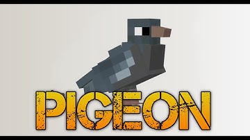 Techne Speed Modelling - 06 - Wood Pigeon