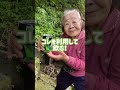 おばあちゃんと与那覇岳の湧き水へ行ってきました