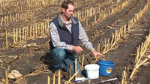 Sampling Soils for Nutrient Management with Erin Cortus and Eric Barsness