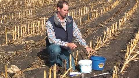 Sampling Soils for Nutrient Management with Erin Cortus and Eric Barsness