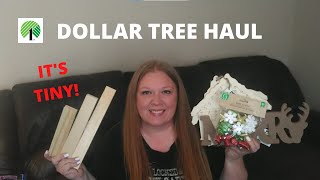 TINY DOLLAR TREE HAUL | A LITTLE CHRISTMAS | HALLOWEEN | RANDOM
Tiny Dollar Tree haul with a little Christmas and a little Halloween and some random items!
Thanks for watching!
Subscribe its free!
Social Media:
Facebook: https://www.facebook.com/jamiescreationsyt
Instagram: https://www.instagram.com/jamiescreationsyt/
Email: jamiescreationsyt@gmail.com TINY DOLLAR TREE HAUL | A LITTLE CHRISTMAS | HALLOWEEN | RANDOM