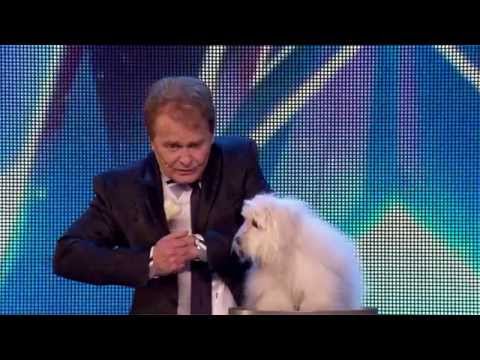 Yarışmada Konuşan Köpek Herkesi Şaşkına Çevirdi! ( Talking Dog Wendy! )