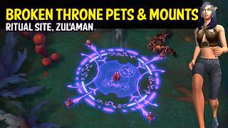 Collect the Zul'Aman Ritual Site Pets and Mounts