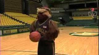 Utah Valley University Basketball - Lights Out - Wolverine