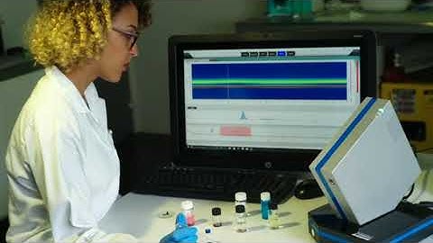 Molecular weight calculation using Nanokin software