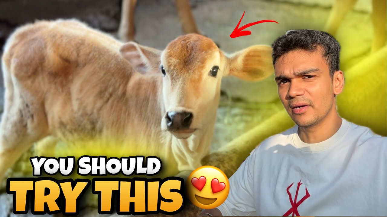You Won't Believe What a Day in an Indian Village is REALLY Like | DAILY VLOG 