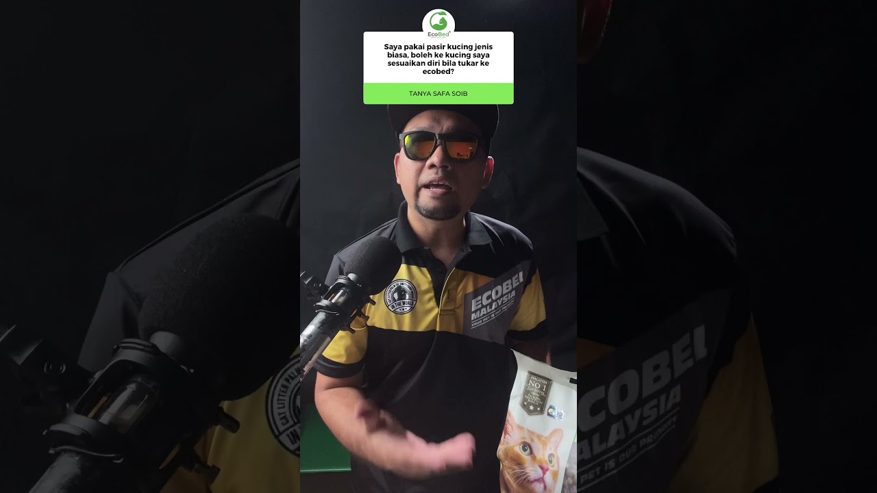 Saya Pakai Pasir Kucing Jenis Biasa Boleh Ke Kucing Saya Sesuaikan Diri Dengan Ecobed Youtube