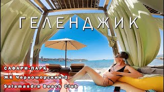 видео: #Геленджик. Сафари-Парк. Саламандра Бич Клаб - отличное место! ЖК Черноморский-2 ФАНТАСТИЧЕСКИЕ ЦЕНЫ картинка: #Геленджик. Сафари-Парк. Саламандра Бич Клаб - отличное место! ЖК Черноморский-2 ФАНТАСТИЧЕСКИЕ ЦЕНЫ