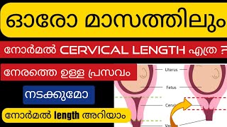 ഓരോ മാസവും cervix length ethra venam