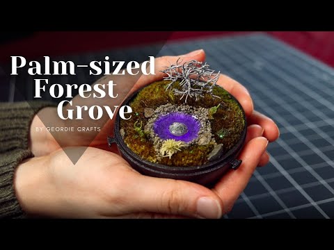 Adorable little forest grove diorama