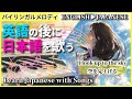 空を見上げる【シティポップ 令和歌謡曲で英語聞き流し】CITY POP 英語勉強 Learn Japanese with kayokyoku