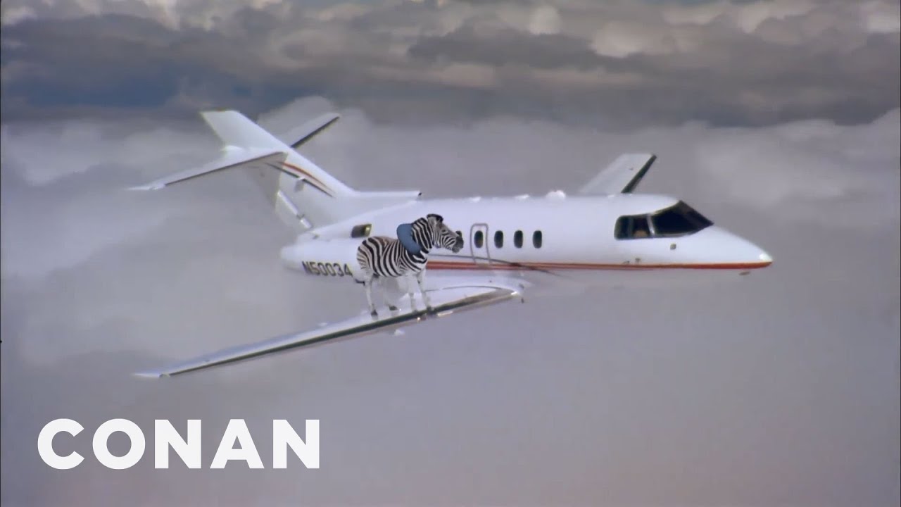 The Stowaway Cat Was Just The Beginning CONAN On TBS YouTube