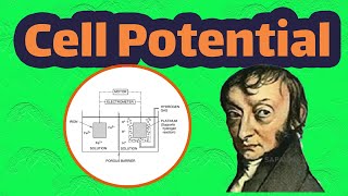 #E13, Chapter 2- Section 3, The Gibbs free energy and cell potential in corrosion reactions