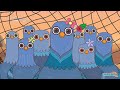 The Hunter and the Pigeons Quiz