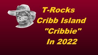What Remains of Cribbie in 2022