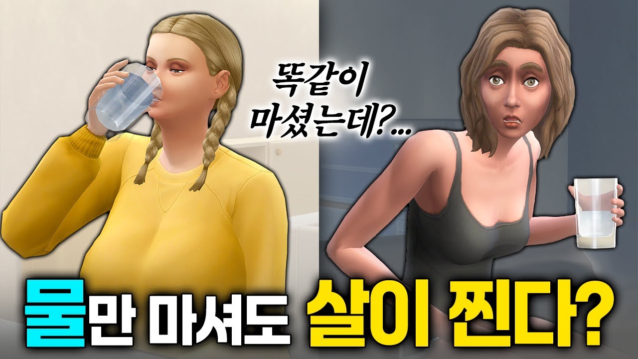 물만 마셔도 살찌는 체질? 🤔 검증해봤습니다