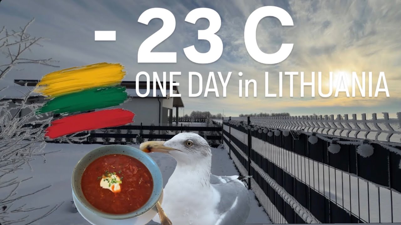-23 С, а ми поїхали на море 😱WINTER IN LITHUANIA 