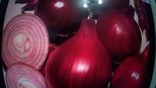 Видео ЛУК красный. Правильная посадка весной . (автор: На Фазенде У Кондратьевны)