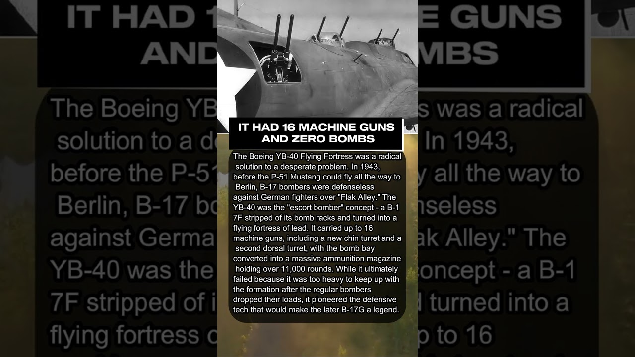 THE B-17’S ULTIMATE BODYGUARD ⚔️