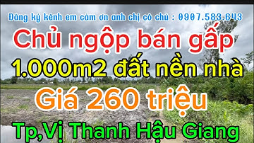 Chủ ngộp bán gấp 1.000m2 đất nền nhà mặt tiền đường dal Tp, vị Thanh Hậu bán lẽ 1.000m2