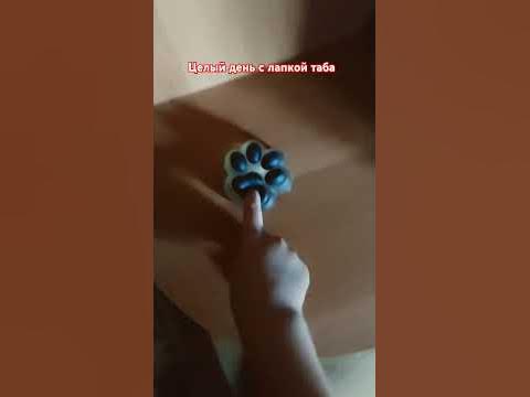 #табалапки - YouTube