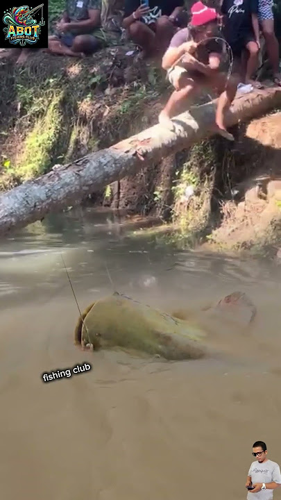 ubur-ubur ikan lele mancing lele monster leee mantapp #trendingshorts #fishing #mancing