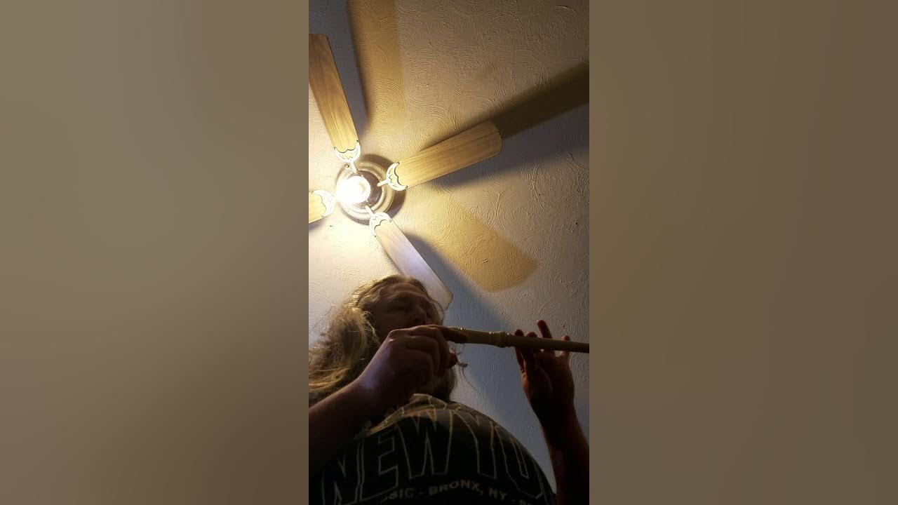 Shire theme lesson, how to play on Recorder Concerning Hobbits song on