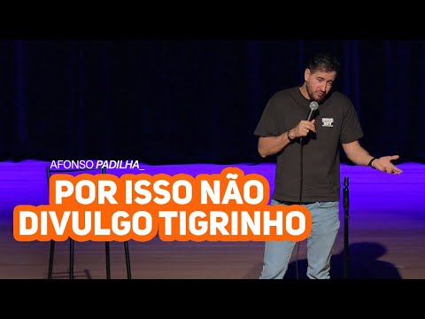 Prévia: Afonso Padilha — produção Simios