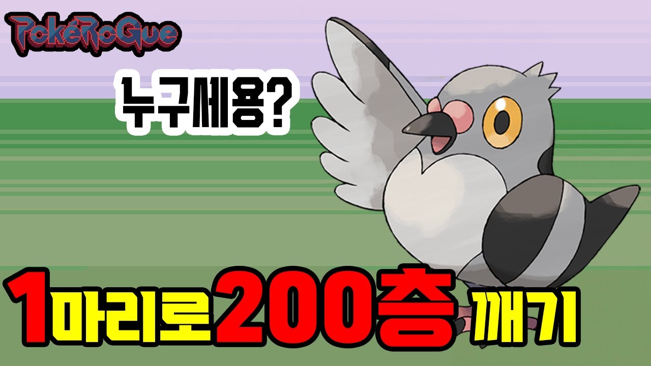 급소 맞출 확률 100% [포켓로그 콩둘기 1마리로 클래식 200층 깨기]