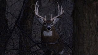 BOONER?! Bowhunting the Rut in Kansas!