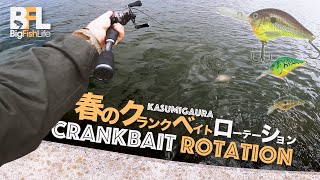 クランクベイトのローテーションで春バスの状態を知る。 - YouTube