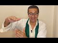 دبابير تل الزعتر الحلقة ١ الحصار عن الأم٤٤ الفلسطينية رواية الحرب الأهلية اللبنانية بالحشرات