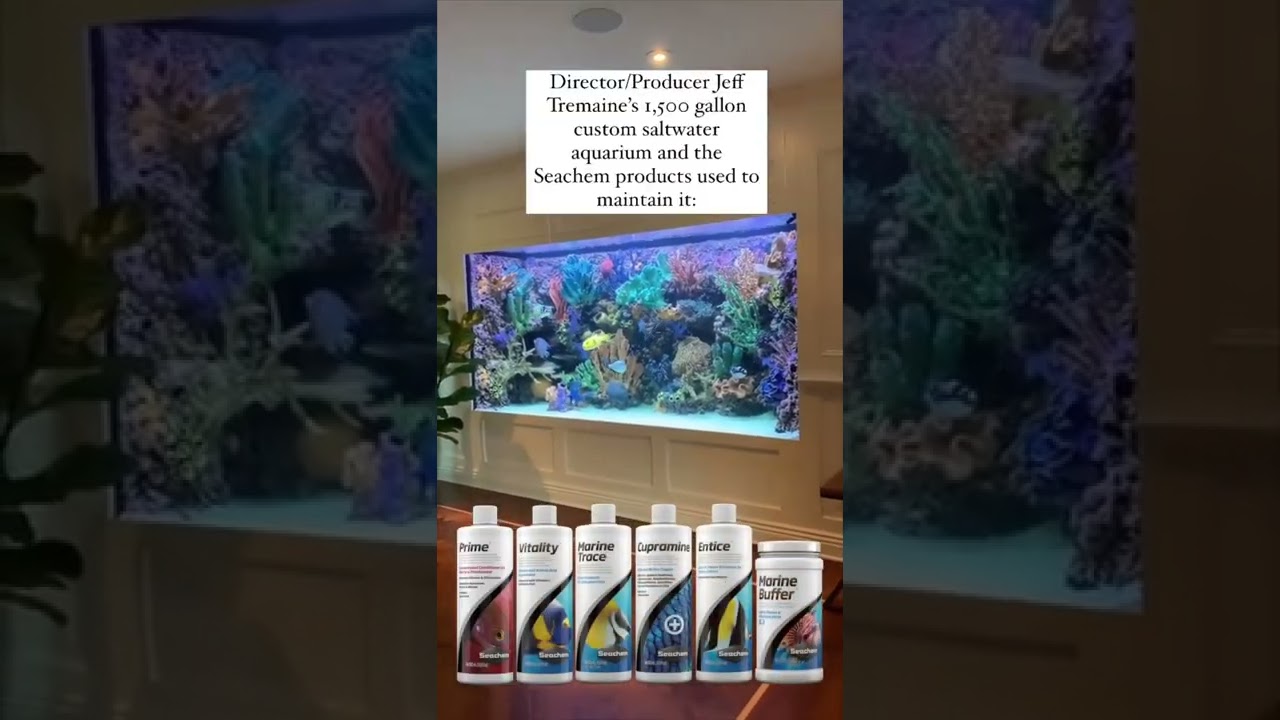 Jeff Tremaine’s 1500 gal tank, built by Infinity Aquarium Design - maintained by Seachem Products!