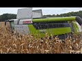 CLAAS LEXION 6600 & 7700 kukoricában Magyarországon