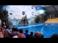 Дельфинарий &quot;Немо&quot; Харьков вся шоу-программа 2 часть .Dolphinarium &quot;Nemo&quot; Kharkiv