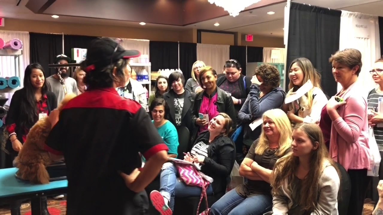 2019 Texas pet grooming show Demo by KMDOG YouTube