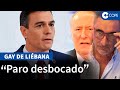 El aviso de Gay de Liébana a Sánchez: "Bruselas nos pondrá las pilas"