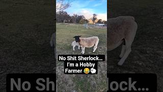 Full Fleece Removal — NO Filter, NO Mercy