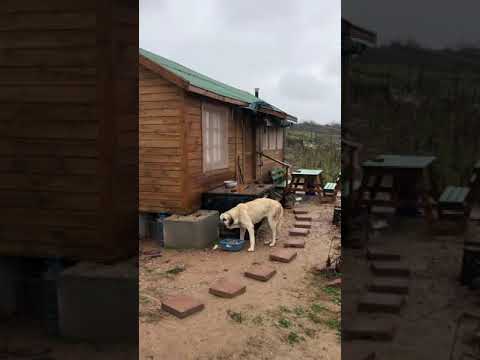 Video: Bir ahşap evin kendin yap ısıtması: özellikleri, çeşitleri ve incelemeleri