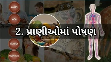 STD 7 Science Chap 2 Pranioma poshan 2 પ્રાણીઓમાં પોષણ