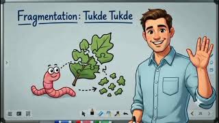 How does decomposition work  ( Ecosystem recycling process) 🍄🍁🐛🍂🍃
