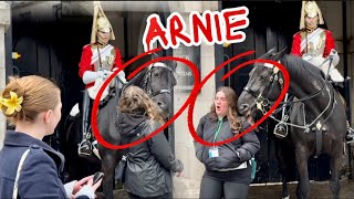 Arnie vs silly tourists   the FAMOUS horse ARNIE shows who’s the real BOSS