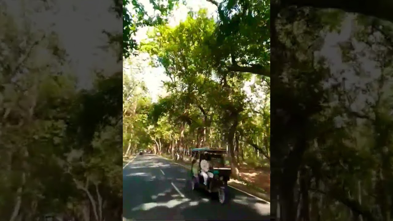 beauty of the earth ✅ #shortvideo #nature #beuaty #love #travel #vlog #song #lifeisbutadream #sorts