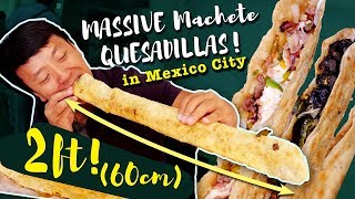 MASSIVE MACHETE QUESADILLAS & BEST Fried Tacos! Mexico City Street Food Tour